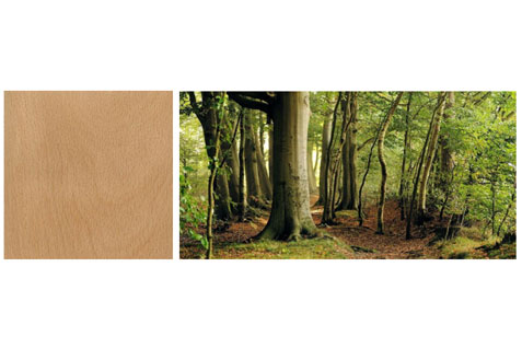 Home Decor Items Beech Wood