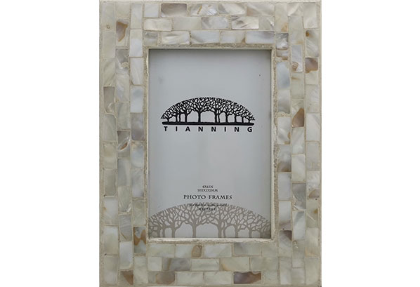 Plaster Pearl Photo Frame